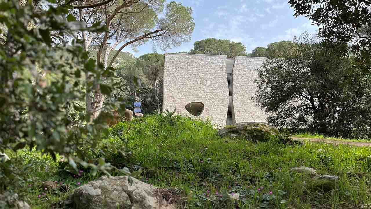Organica – mostre di Caterina Lai e Suber a Tempio Pausania Organica – mostre di Caterina Lai e Suber a Tempio Pausania